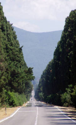 Il viale dei Cipressi di Bolgheri