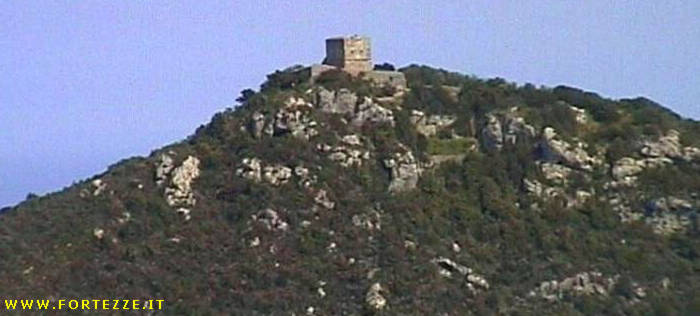 Torre Avoltore