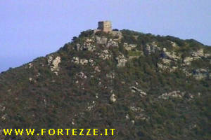 Torre Avoltore