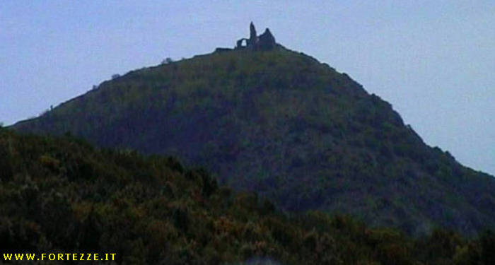 Torre Capo Uomo