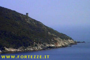 Torre Ciana