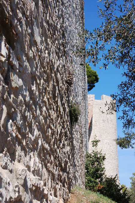 Rocca del Leone
