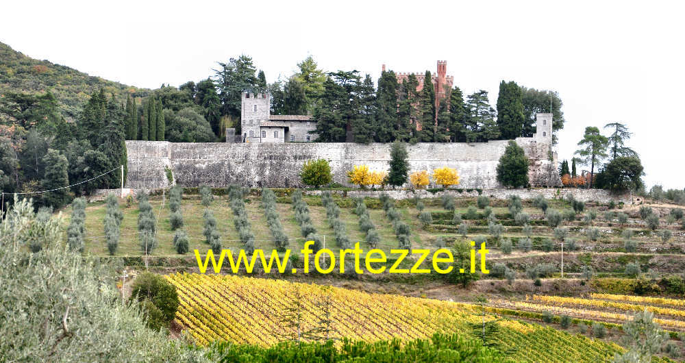 Castello di Brolio dalla vigna di Montecalcini